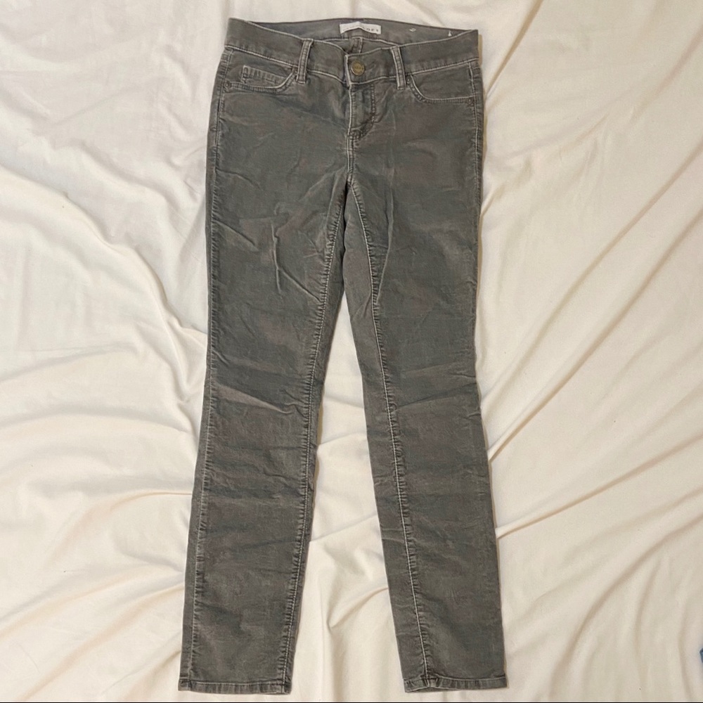 LOFT Velvet Pant